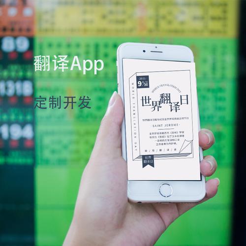 创新产品与服务,引领软件外包行业前沿